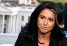 Тулси Габбард: новый кандидат на пост главы разведки вызывает дискуссии 0748b263-d4bc-4794-b5f6-1434862ed8d0-67a4a9f5