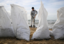 32c87fbb-8951-4e1c-b13d-0a2850ecd38c-67c08812