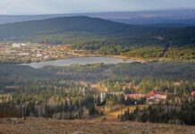 Свердловская область запускает инновационные онлайн-инструменты для развития бизнеса 5f76421f-96ca-4470-8211-2fb78011cc2c-67c2d28d