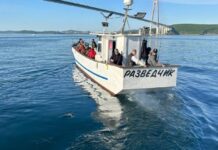Приморский суд защитил безопасность пассажиров морских прогулок 6e86baf2-260c-4a7c-abb8-4dee0cf19761-67c08e97
