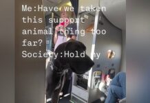 Пассажир взял в самолет 50-килограммовую собаку и вызвал бурное обсуждение в сети 9ca32c30-effc-4a63-a9f9-706b21ed9742-67b6104b