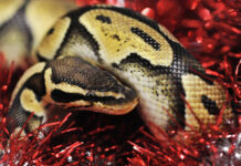 a7151e80-e9a7-4483-a38d-d2aa4c729419-67b22c1c