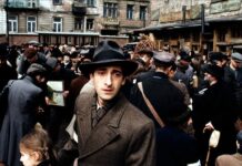 Эдриан Броуди рассказал о глубокой трансформации после роли в «Пианисте» af48581f-dd39-48cc-bbb5-35afb4327a49-67c04c59