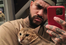 Тимати готов к созданию крепкой семьи в 41 год 08035b35-27bf-46ec-9856-c2aa67bea7d0-67e6986f