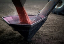 Прогноз состояния озимых культур в России на зимний период 124ede24-8f2c-42d0-b1ed-e162f749f806-67e195eb