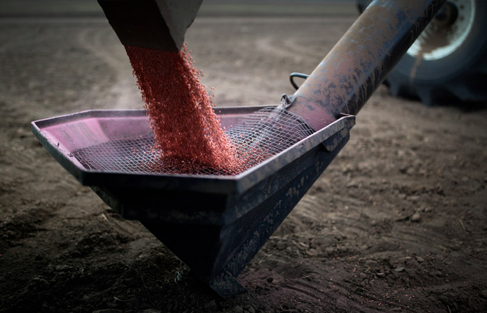 Гидрометцентр прогнозирует ухудшение условий для посевов озимых культур в РФ