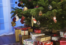 Оптимальное время для утилизации новогодней елки 140a68d7-3ccd-4358-a98a-a75b790fc5f9-67d9f37f