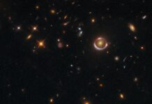 «Хаббл» запечатлел удивительное «кольцо Эйнштейна» в созвездии Гидра 1e304d11-8221-4cd7-bdda-c562c5883efd-67d48d85