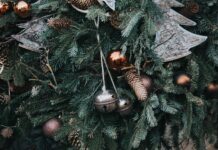 Когда лучше убрать новогоднюю ёлку: советы психолога для сохранения праздничного настроения 2b4d0b97-ca40-4d3d-a20f-582bd7e4185d-67d1d6f8