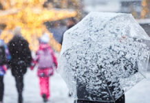 Зимние выходные в московских парках подарят яркие впечатления Городские жанры и виды Москвы 1 января 2025 года