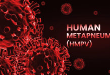 Академик Нетёсов: российские вирусологи хорошо знакомы с метапневмовирусом и готовы к его изучению 3ba82a11-9560-4043-b49c-10da4e523965-67cf00b7