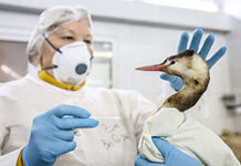 Научная группа разработает инновационные методы очистки побережья Кубани от мазута 4033b382-bf11-4644-b3b5-eea0f7018498-67cafbe7