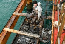 Seabed clean-up in Anapa Russia