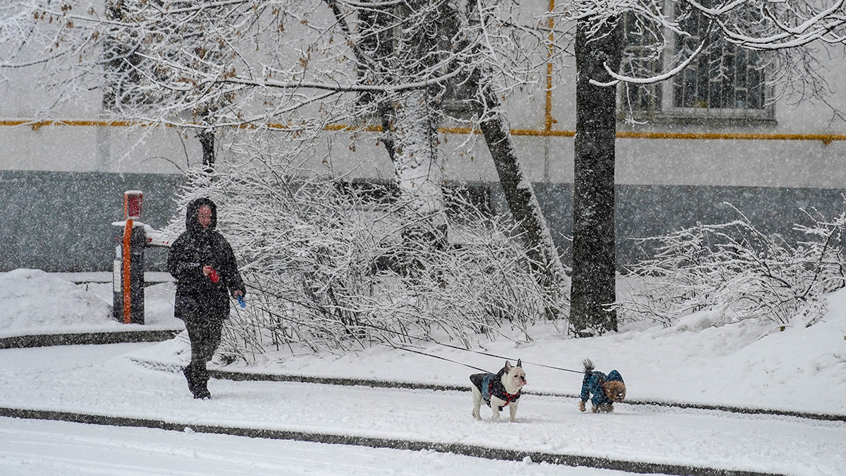 Когда похолодание в Москве