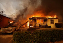 Новые меры помощи пострадавшим от пожаров в Калифорнии 7b9a04d8-7230-4fea-aefc-a8cbcb4f9171-67d76c32