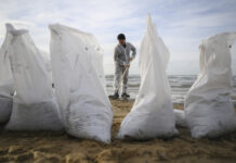 МЧС активно координирует работу по защите экологии Черного моря 88f80772-aac4-4959-b89d-5784dfa32aa5-67d85b08