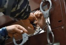 Шокирующая история матери предательницы из Марий Эл 8c7c0df3-340e-46f2-9c72-0cecc47fbc5f-67db2a98