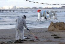 Масштабная операция по очистке Керченского пролива: успешно обработано более 38 квадратных километров акватории Режим ЧС введен во всей Анапе после разлива нефтепродуктов