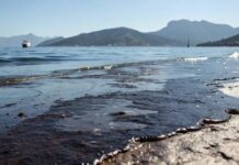 Спасательные работы по ликвидации разлива нефтепродуктов в Керченском проливе продолжаются 9f064413-8743-43a3-8c2e-f4ebf750da54-67d46b65