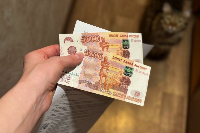 Фото: primamedia.ru