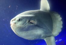 bdecbb6e-9731-4557-ba62-ab5b2f1487b6-67e34562