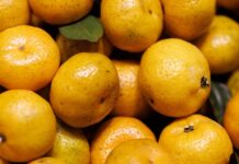 Удивительные свойства мандаринов для здоровья и красоты df88456f-d39e-4330-a9c8-f86ecd5a1458-67ebb7fd
