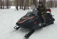 Масштабные инвестиции в защиту уральских лесов и их обитателей f04e9bd7-09fb-47a5-a4ee-a23aa9ded2d2-67d7f42d