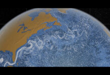 Океанические течения Земли демонстрируют высокую устойчивость f16f0ab0-e8bf-4069-a513-69d698082db4-67db8d42