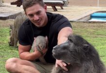 097f89f2-a807-4104-bfc1-f98b5e2605dd-6807ecce