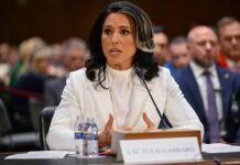 Драматичное назначение на пост главы Нацразведки США Тулси Габбард Trump Cabinet Gabbard Tulsi Gabbard