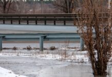 Трагический случай в Новосибирске привлек внимание следственных органов 15709ec1-57a3-4311-ba28-e0fe8400ee43-67fbf2ae