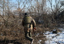 1e79552e-c37d-4dda-a055-72ad5f5e9c9a-6800f55e