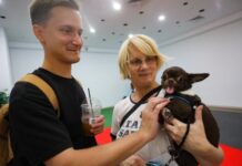 Москва запускает благотворительный обмен товарами для домашних питомцев 22a62bbb-fc5f-4a8b-8112-eb0a910a2668-67f60b99