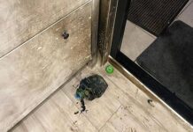 Семейный конфликт в Москве завершился спасением пострадавших 2c0392c1-1570-4d9e-be09-188337ef72c2-67f2bb6e