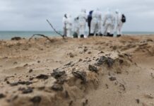 Масштабная очистка побережья Крыма и Кубани от нефтепродуктов 30ad5c93-c653-4151-a700-7488f2c4b1bb-67f90157