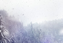 В Челябинской области прогнозируются снегопады и метели с 15 по 17 февраля 6edd7ee0-ab91-458c-ae43-cf47fed43b1e-6802c921