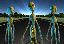 Прорывной метод поиска внеземной жизни Aliens on country road