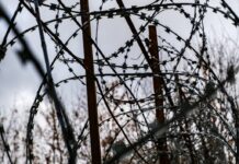 Дочь бывшего главы Самары получила право участвовать в расследовании гибели родителей 74b2fe2c-0597-45a3-ae0a-808a764b2c42-67fa3dc3