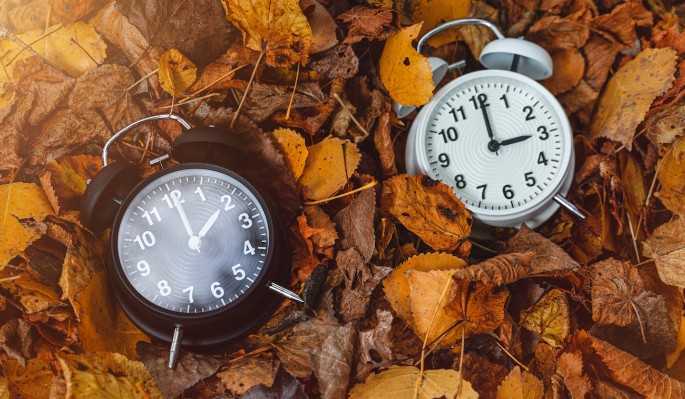 Стрельцы в любви, а Козероги с деньгами: астрологический прогноз на сентябрь 2023 года