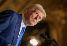 Американцы видят потенциал Трампа в борьбе за третий президентский срок amerikanczy vidyat potenczial trampa v borbe za tretij prezidentskij srok-ekbonline-ru-174060955600-0