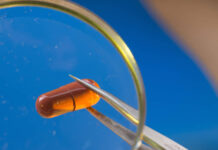 БАДы станут безопаснее bady stanut bezopasnee-ekbonline-ru-174044929200-0