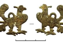 Павлин как символ христианской культуры в уникальной археологической находке ffcaef29-498a-40f5-9b76-c5ac80fa669b-67f3dde5