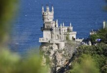 История спасения кошки Муси у «Ласточкина гнезда» istoriya spaseniya koshki musi u lastochkina gnezda-ekbonline-ru-174052262200-0