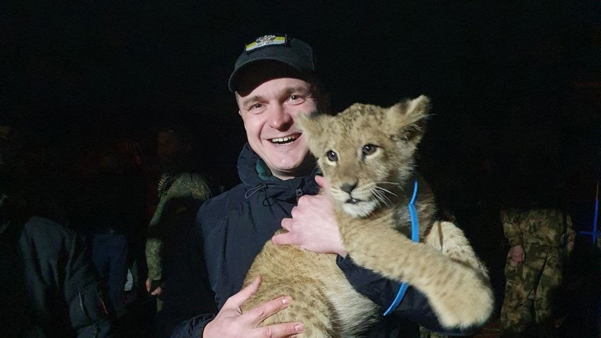 Лидера группы «Русский стяг» Долганова госпитализировали после покушения