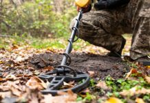 Новость о нашедшем клад на 79 миллионов рублей камчатском грибнике оказалась фейком novost o nashedshem klad na 79 millionov rublej kamchatskom gribnike okazalas fejkom-ekbonline-ru-174042919200-0