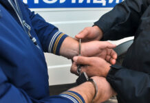 Правоохранительные органы пресекли незаконную деятельность в Подмосковье Работа УМВД России