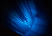 Прорыв в изучении осцилляций нейтрино подтвержден международным сообществом proryv v izuchenii osczillyaczij nejtrino podtverzhden mezhdunarodnym soobshhestvom-ekbonline-ru-174047670600-0