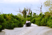 Субботин ерик и другие древние реки Тамани subbotin erik i drugie drevnie reki tamani-ekbonline-ru-174050697300-0