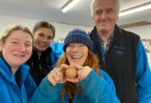 Эли Грин и уникальное яйцо из Великобритании покоряют мировой аукцион eli grin i unikalnoe yajczo iz velikobritanii pokoryayut mirovoj aukczion-ekbonline-ru-174287549900-0