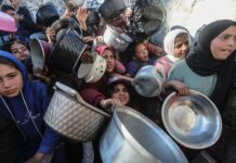 Инициатива Израиля для добровольного переселения из Газы при поддержке Каца inicziativa izrailya dlya dobrovolnogo pereseleniya iz gazy pri podderzhke kacza-ekbonline-ru-174271871400-0